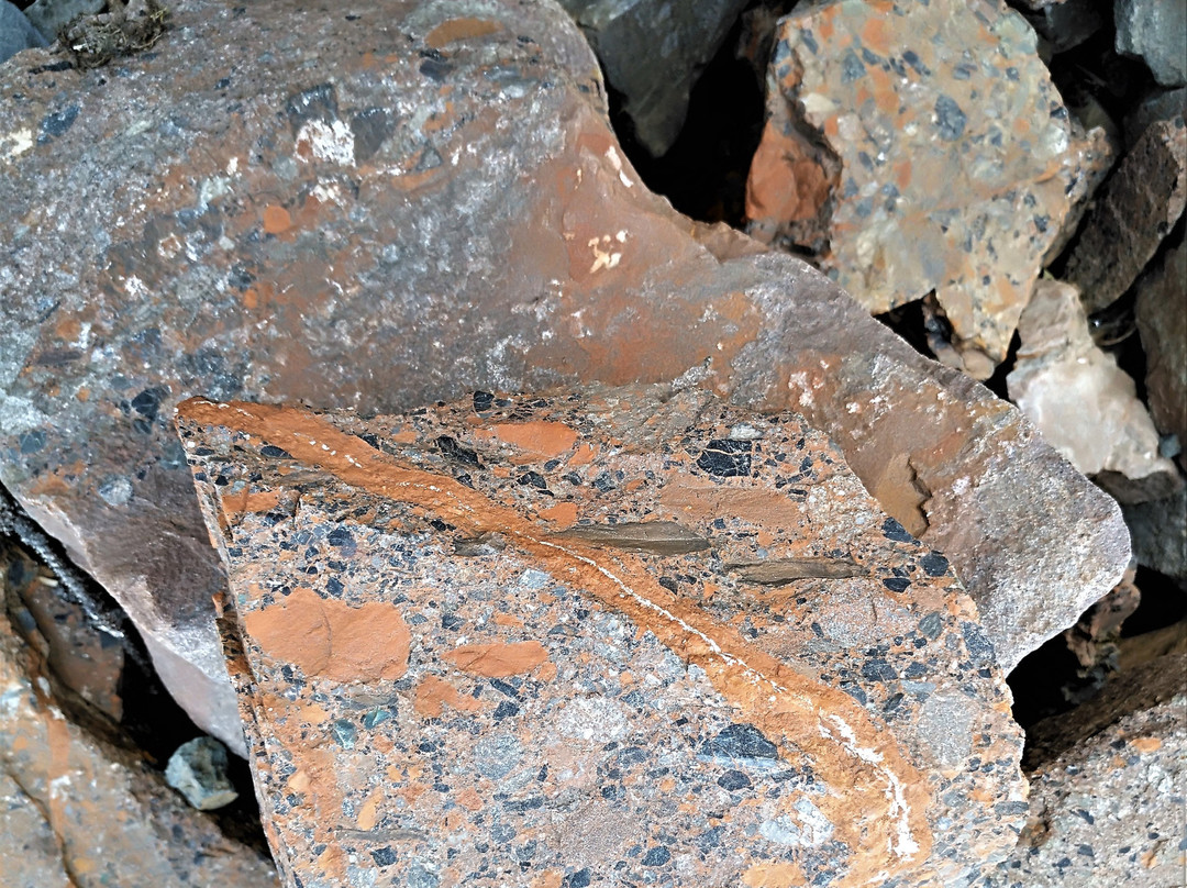 Icy Strait Point-胡纳必去景点