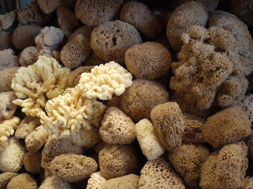 Factory of Natural Sponges-Pothia必去景点