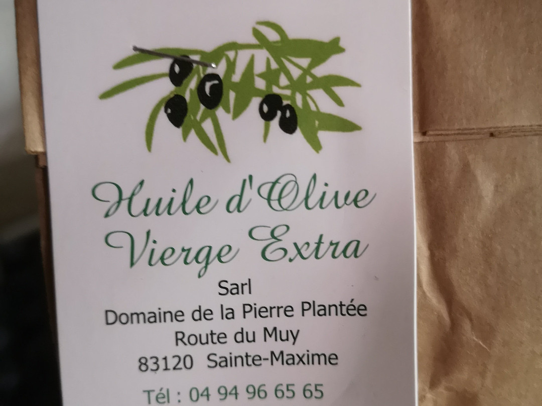 Domaine de La Pierre Plantée景点图片