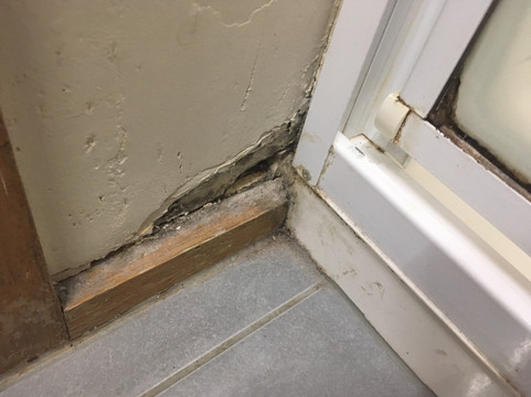 Bendigo Homestead Motor Inn & Apartments主图