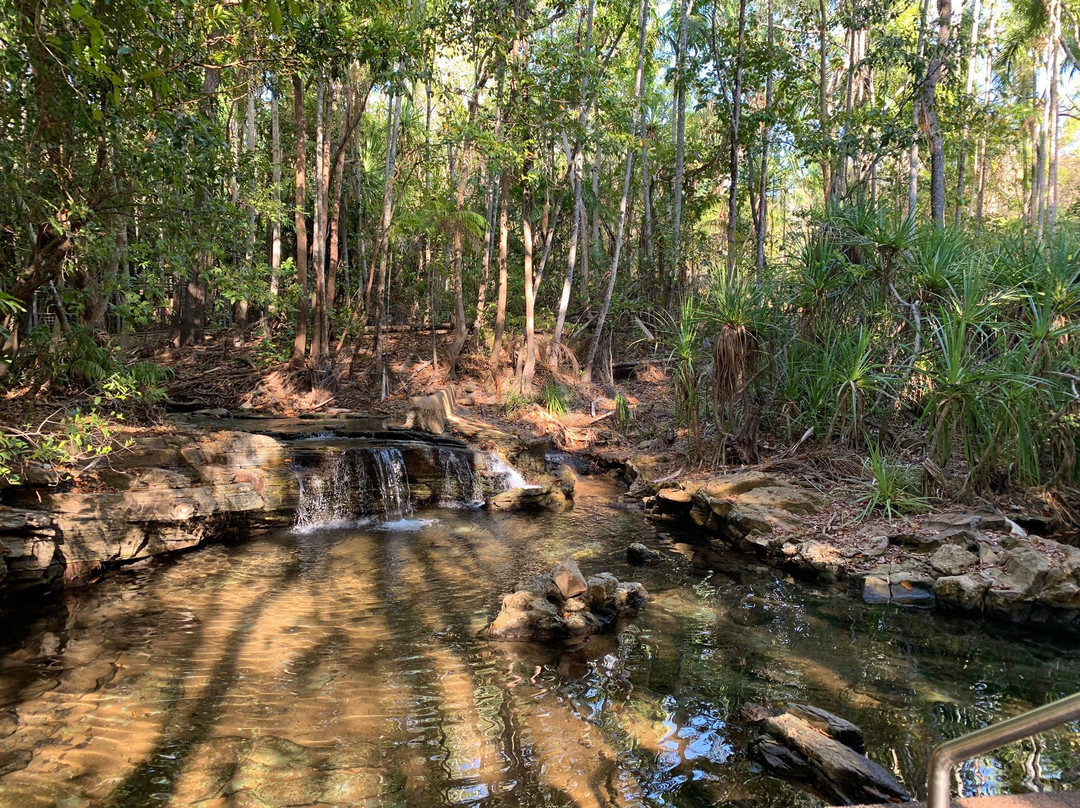 Northern Territory Indigenous Tours景点图片