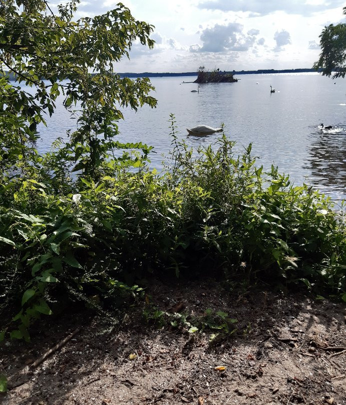 米格尔湖景点图片