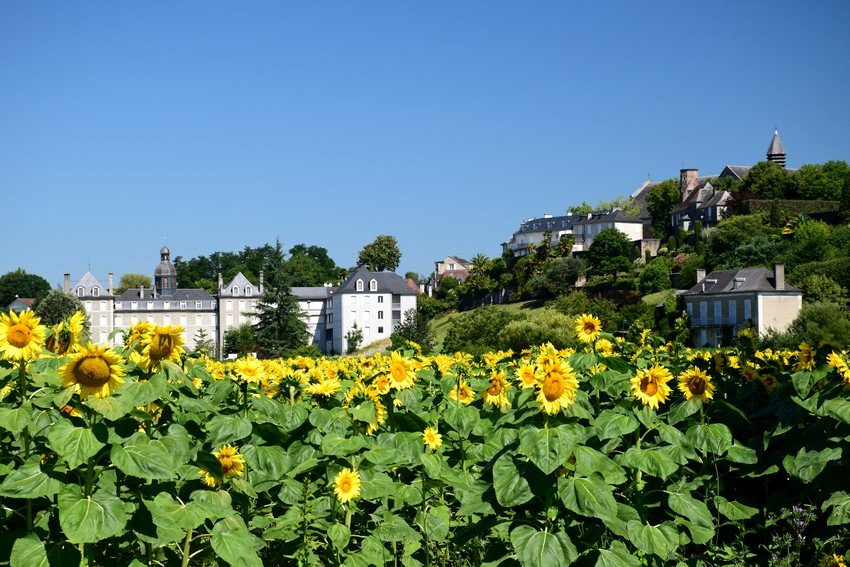 Pau Pyrénées Tourisme - Bureau de Lescar景点图片