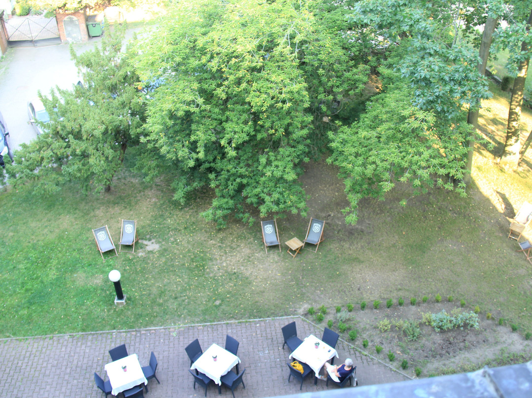 Hotel Matejki 8主图