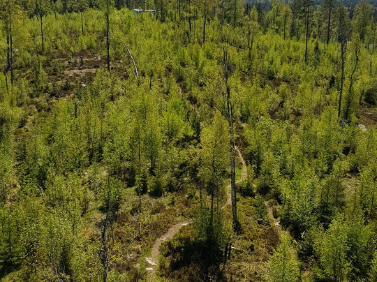 Kullens Utsiktstorn-Nyhammar必去景点