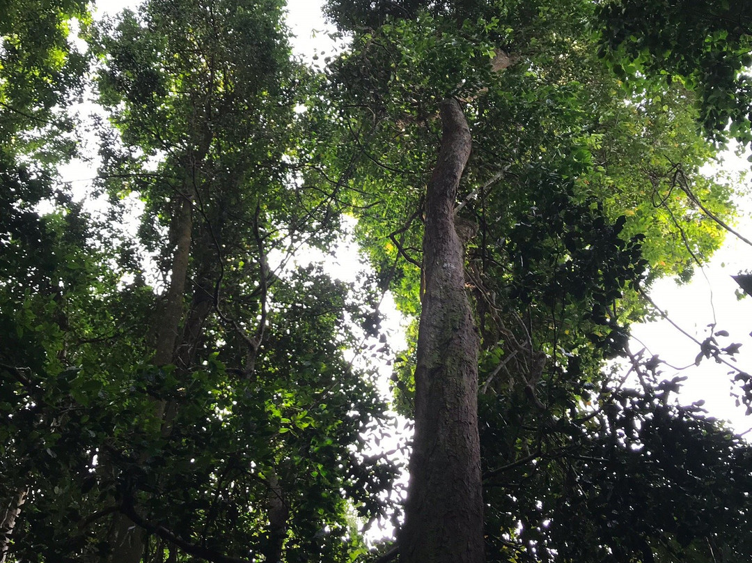 Fun Sumatra Tour & Travel-Deli Serdang必去景点