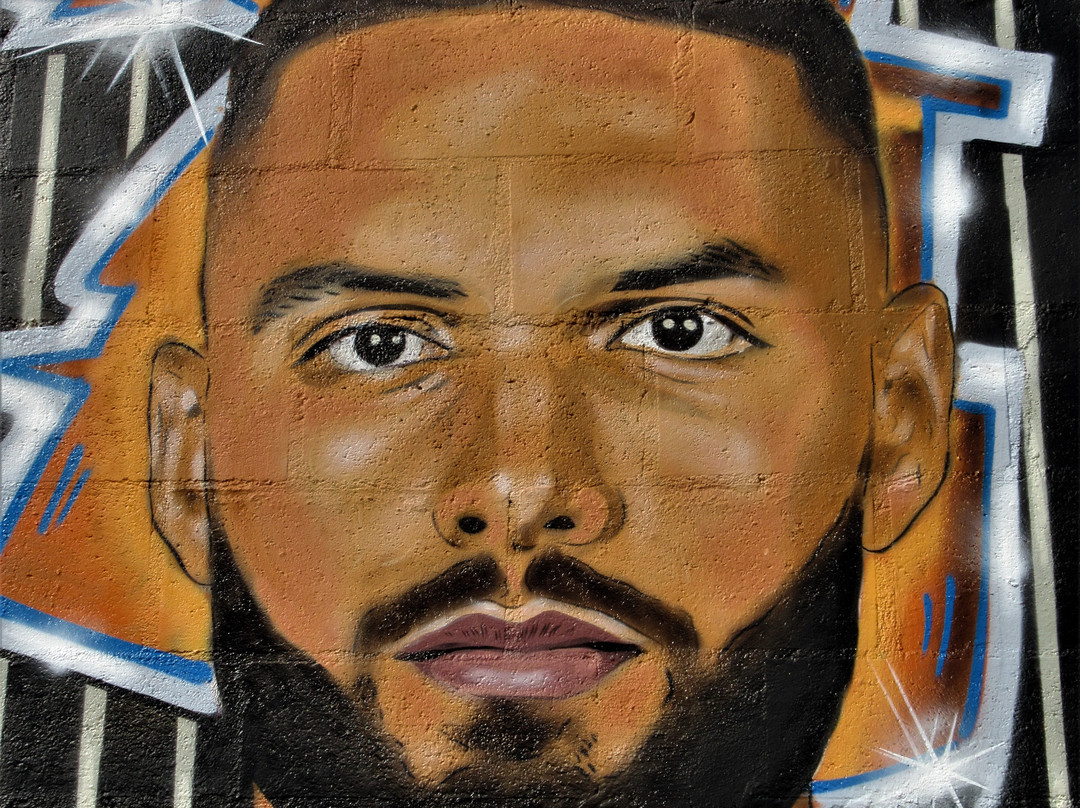 Fresque "Frenchies got Game"-欧贝维利耶必去景点