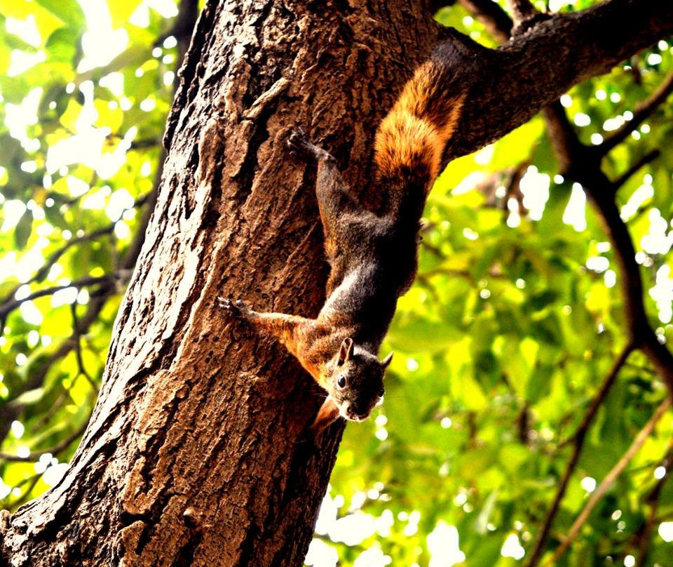 Hotel Casa Escobar Buga主图