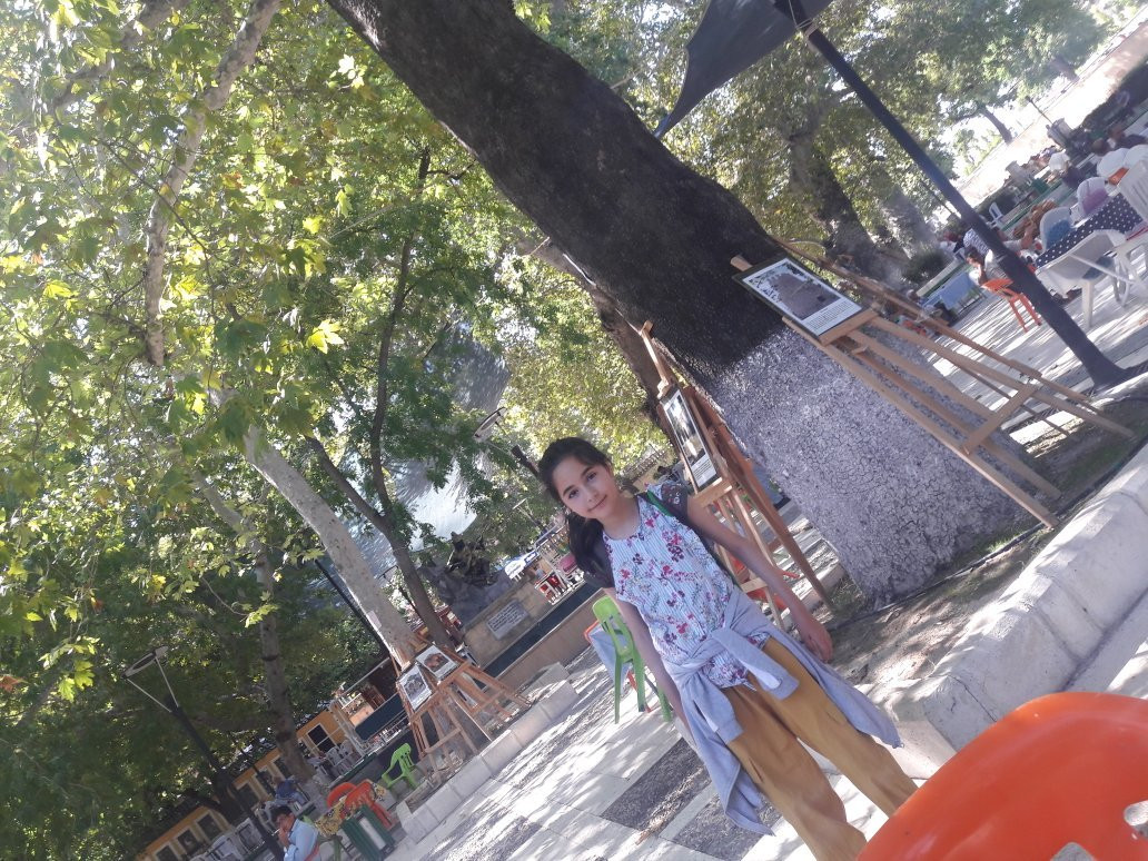 Zeyve Pazari景点图片