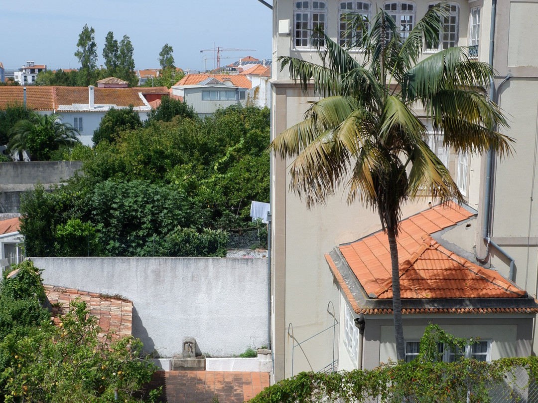 Hotel Aveiro Center主图