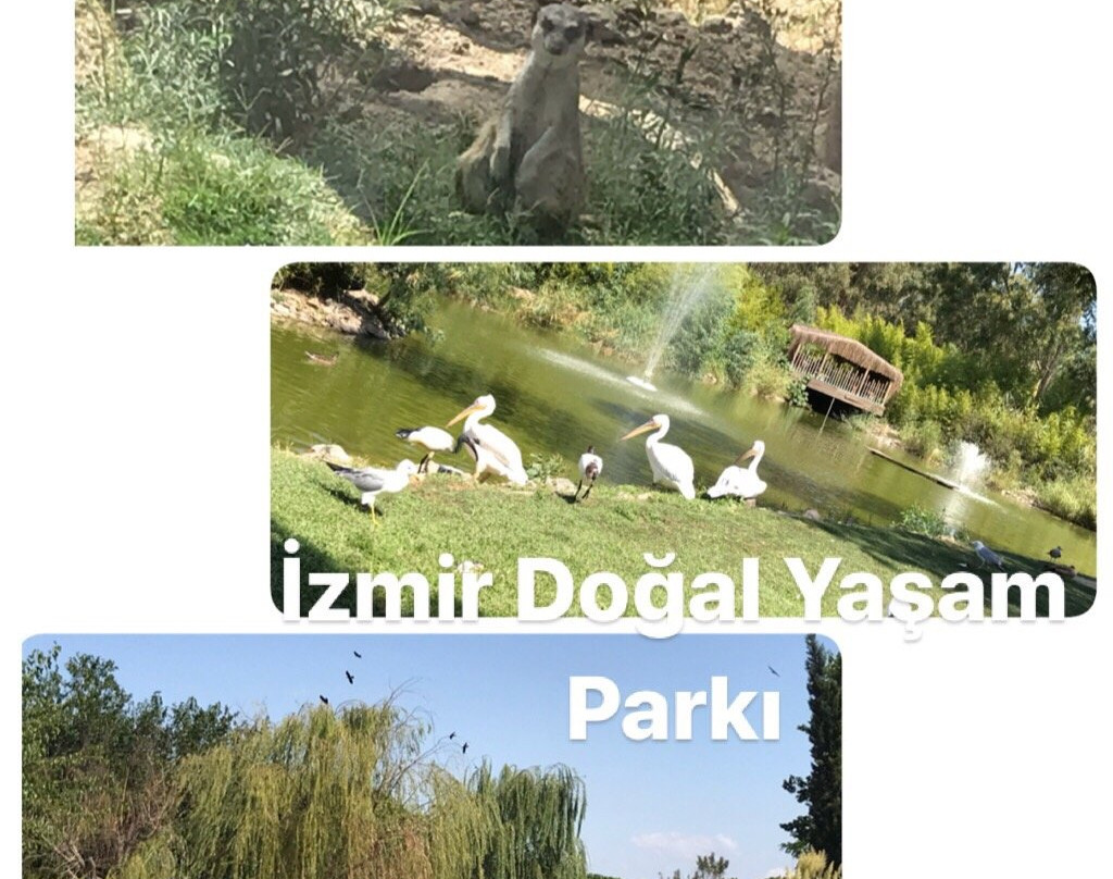 Izmir Dogal Yasam Parki-伊兹密尔必去景点