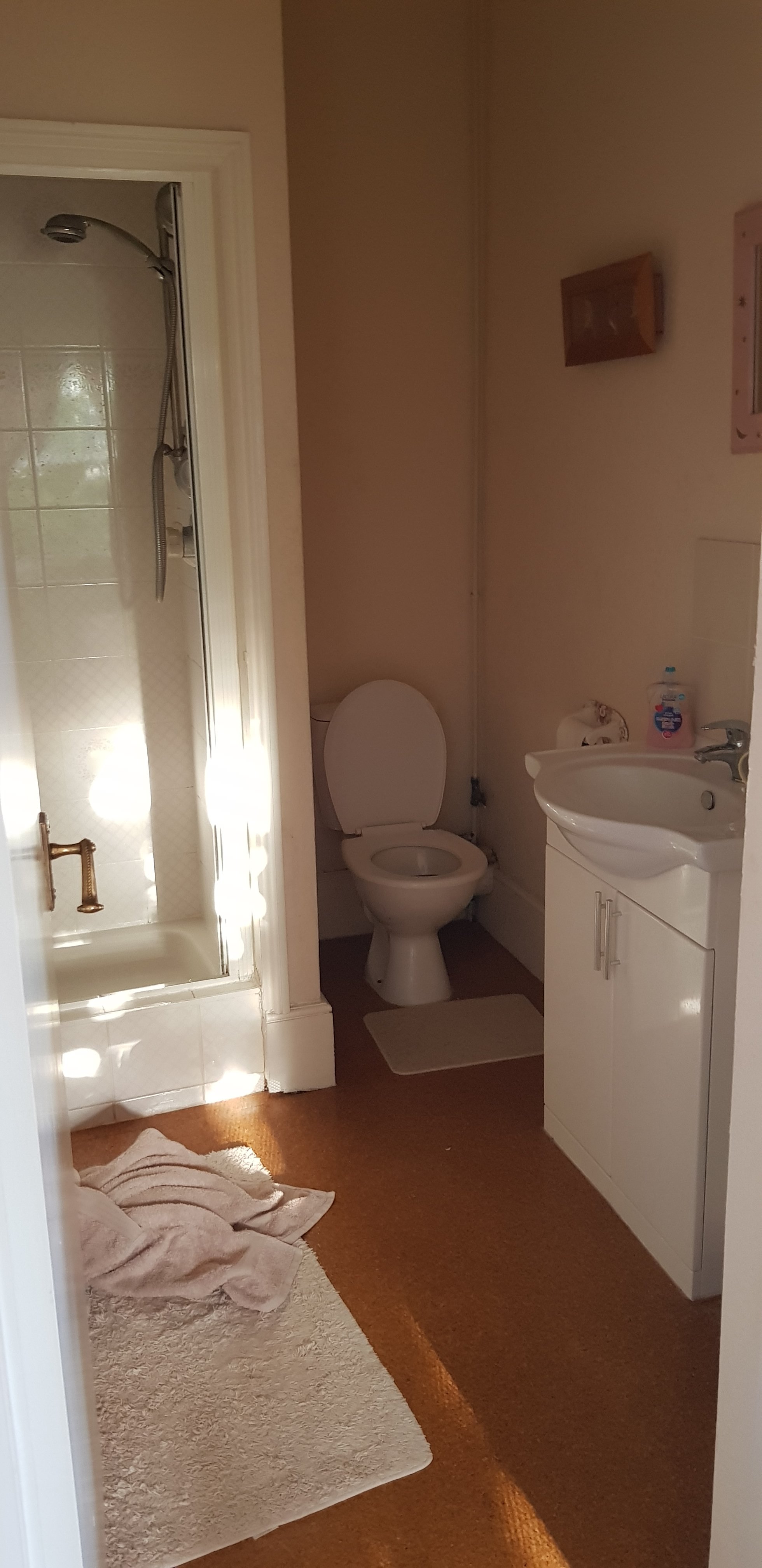 Sunny Bank Guest House-浴室