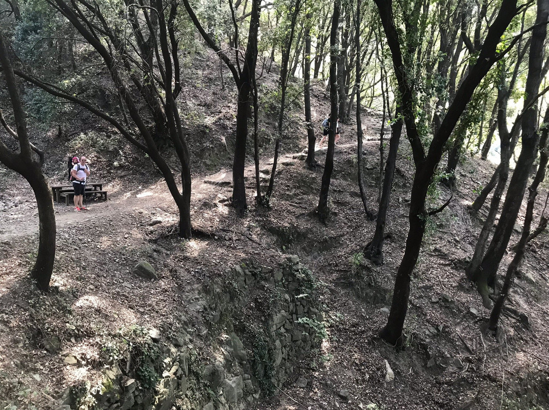 Levanto to Monterosso Trail景点图片