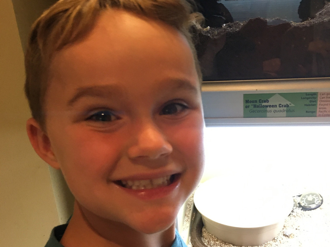 North Museum of Nature and Science-兰卡斯特必去景点