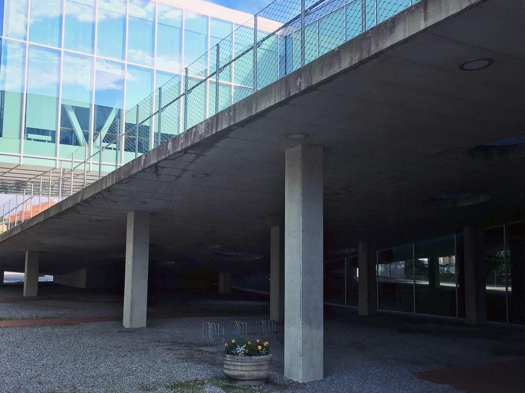 Parnu Central Library-派尔努必去景点