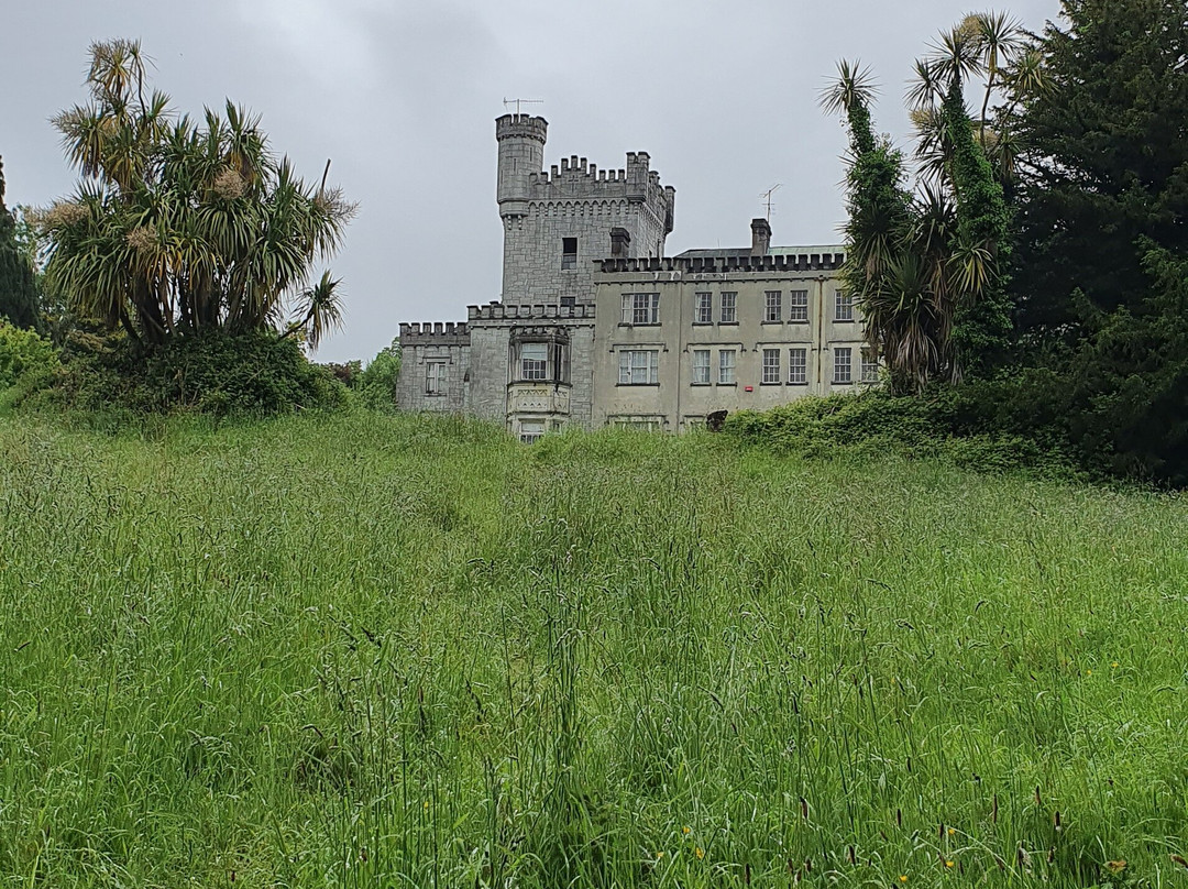 Glenart Castle景点图片