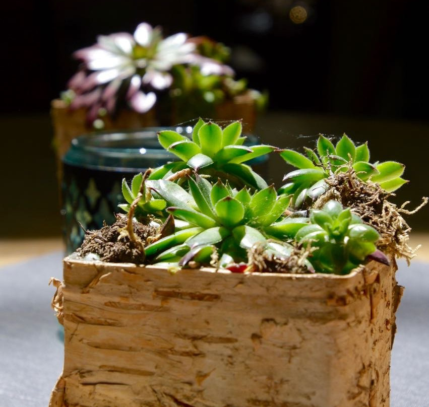 Hotel Weinhaus Hoff主图