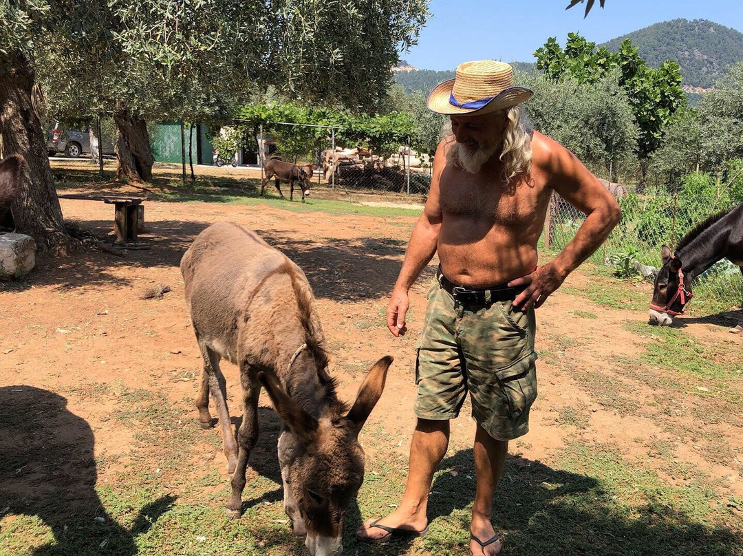 Thassos Donkeys-Skála Potamiás必去景点