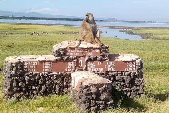 SIGHTS TRAVEL AND TOURS-纳罗克必去景点