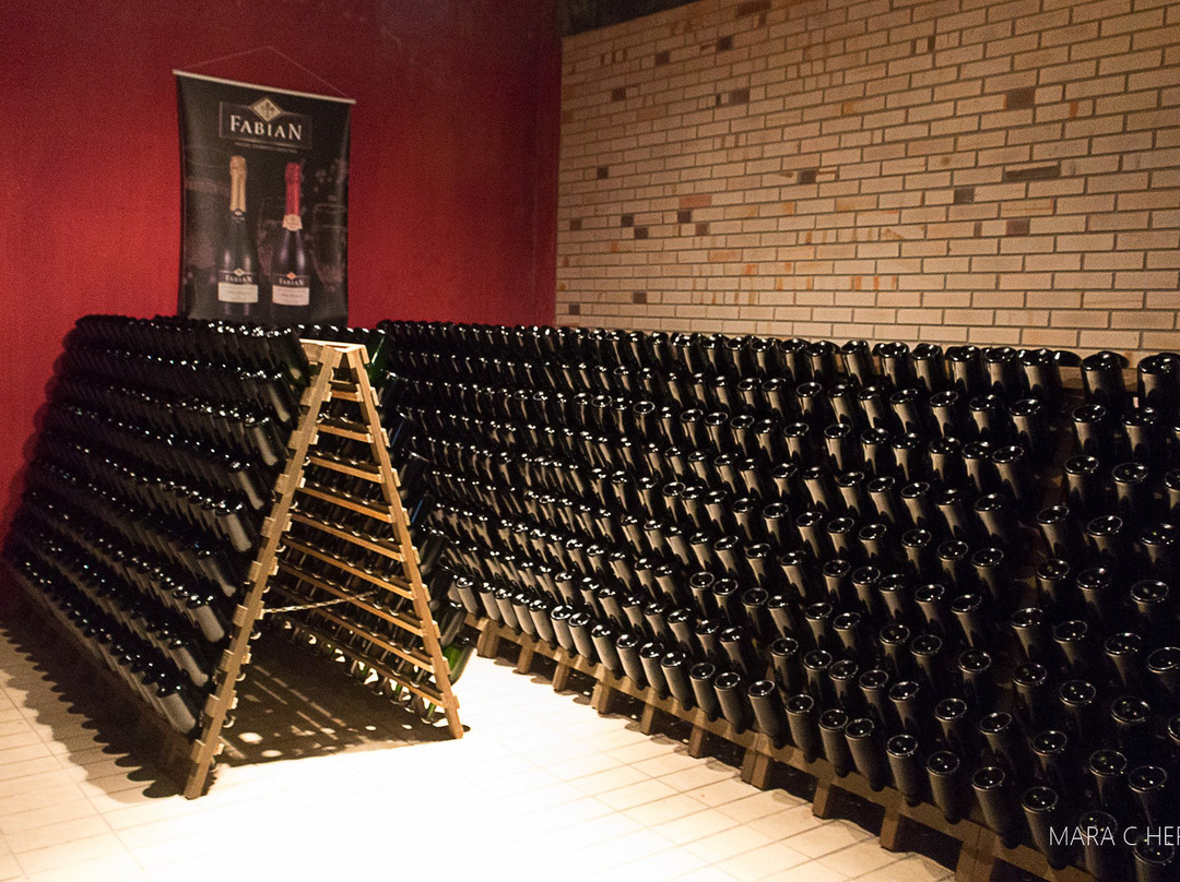 Fabian-Nova Padua必去景点