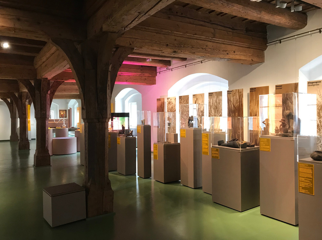 Museum Brot und Kunst - Forum Welternährung-乌尔姆必去景点