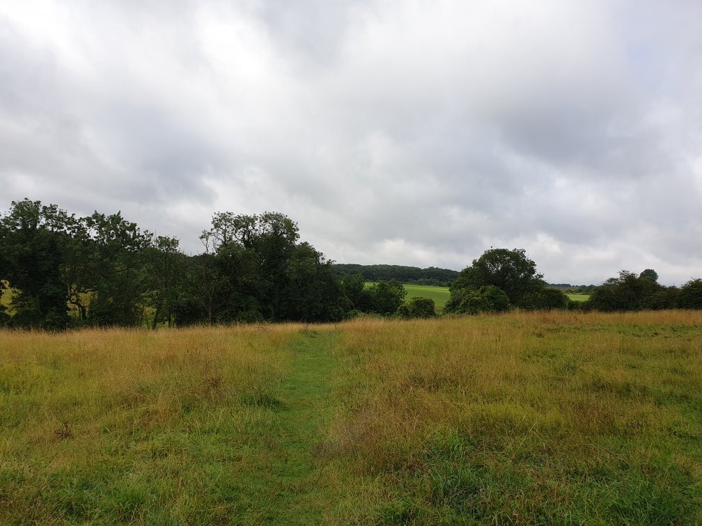 Wansford Pasture Nature Reserve景点图片