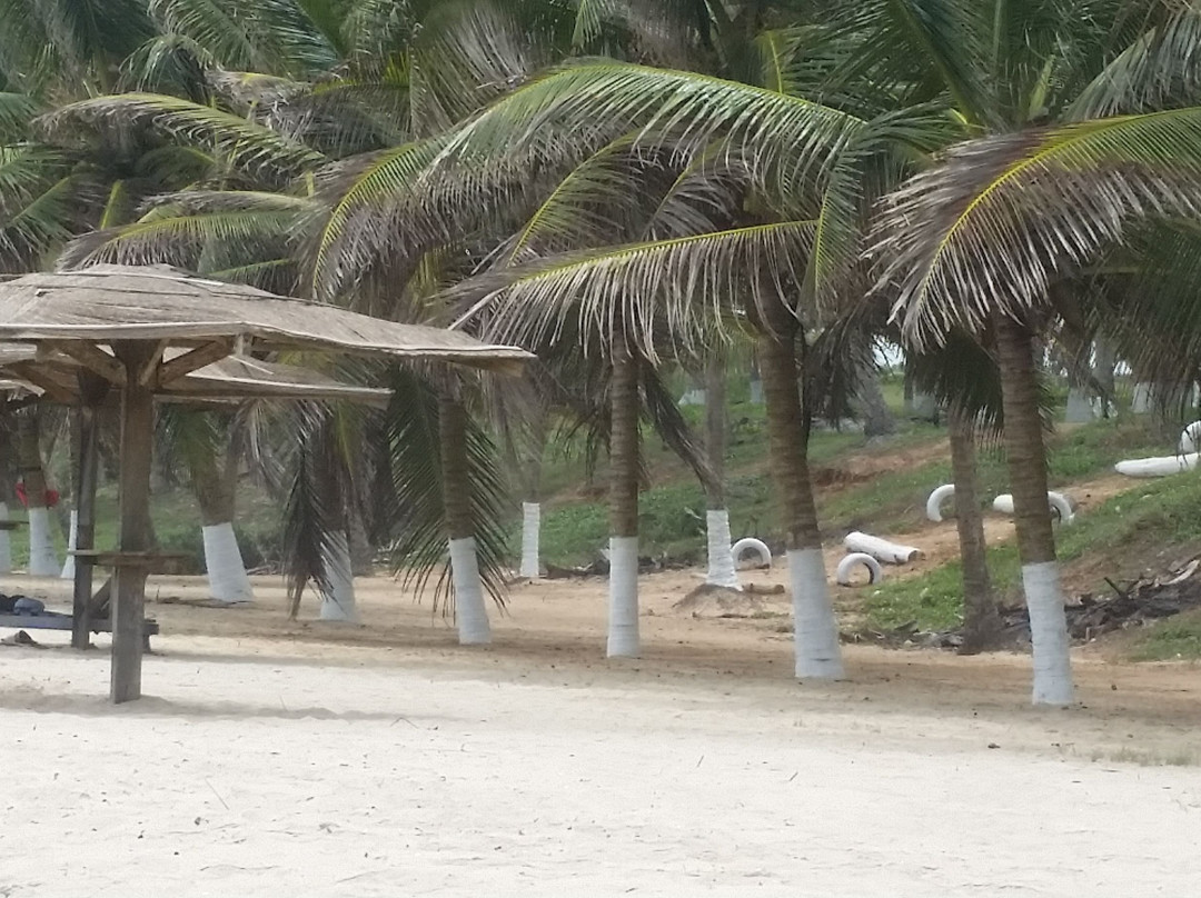 Sunflower Beach Resort主图