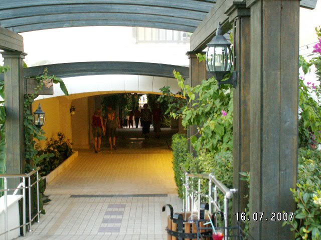 Vera Club Hotel Paradiso-官方