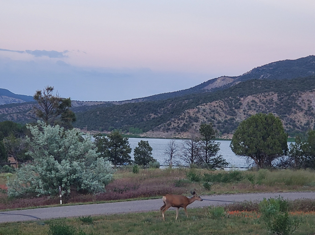 Navajo State Park景点图片