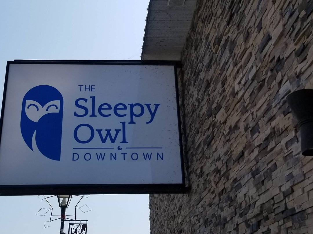The Sleepy Owl主图