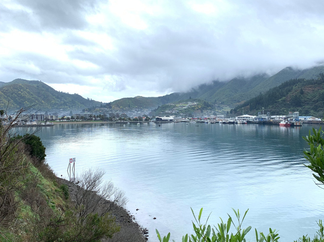 Karaka Point Walk景点图片