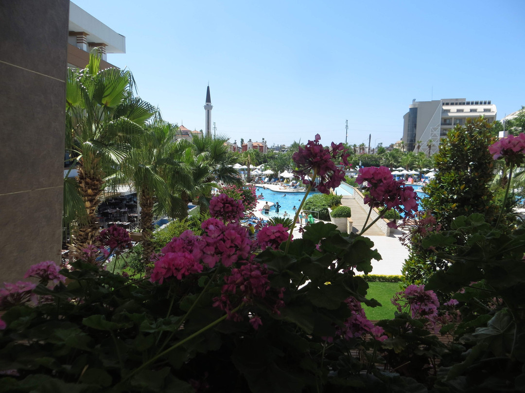 Terrace Elite Resort主图