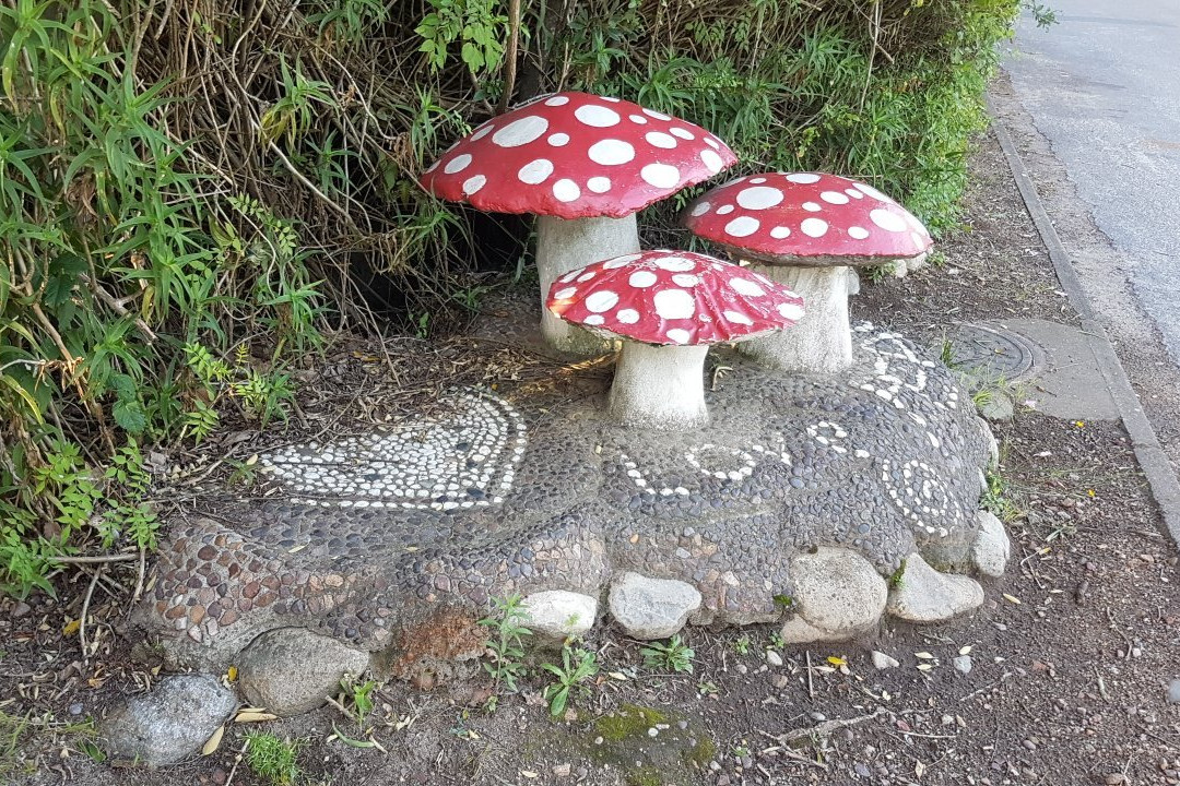 Swellendam fairy sanctuary-斯韦伦丹必去景点