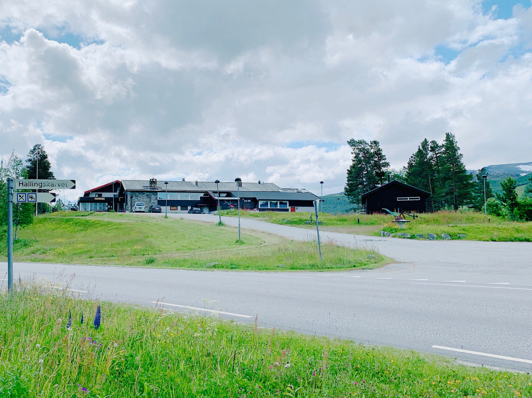 Hallingskarvet Hotell主图