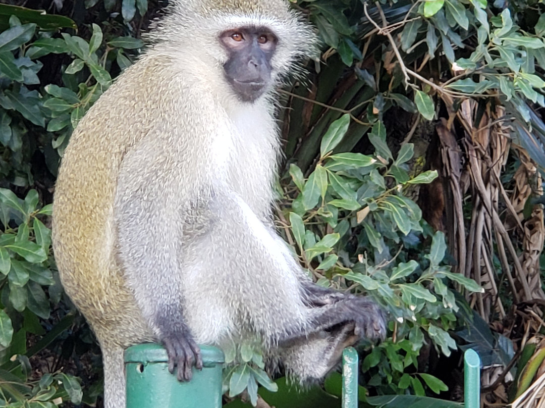 贝莱尔套房酒店主图