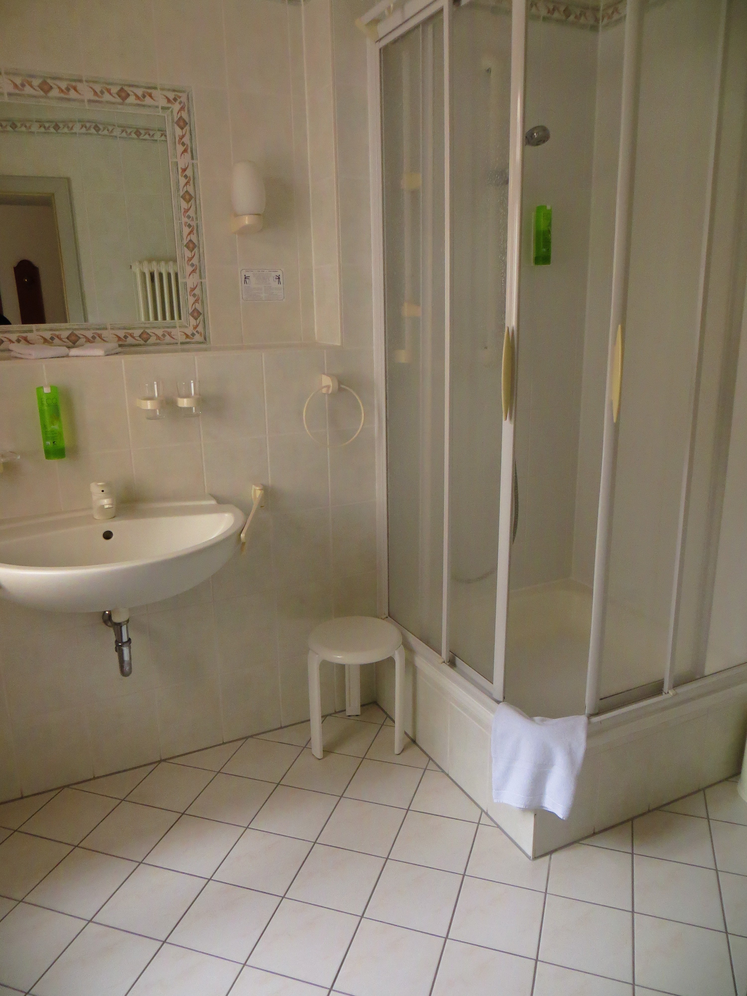 Hotel Goldener Lowe-浴室