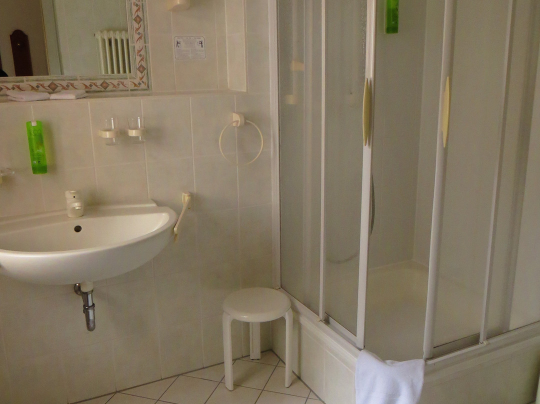 Hotel Goldener Lowe主图
