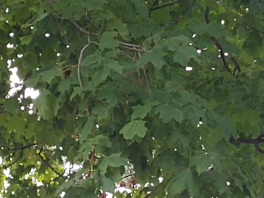 The Plainfield Inn主图