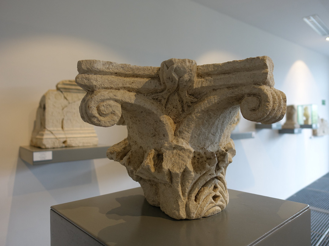 Narona Archaeological Museum景点图片