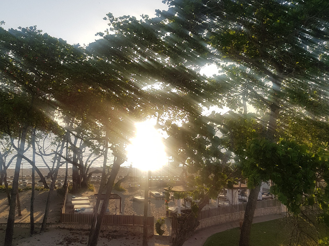 Marien Puerto Plata主图