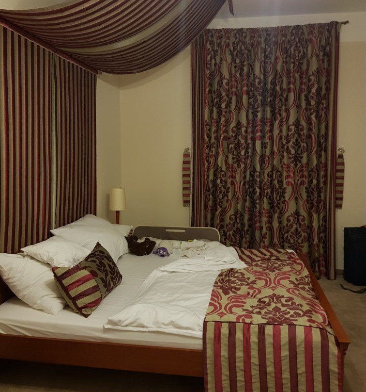 Europejski Boutique Hotel主图