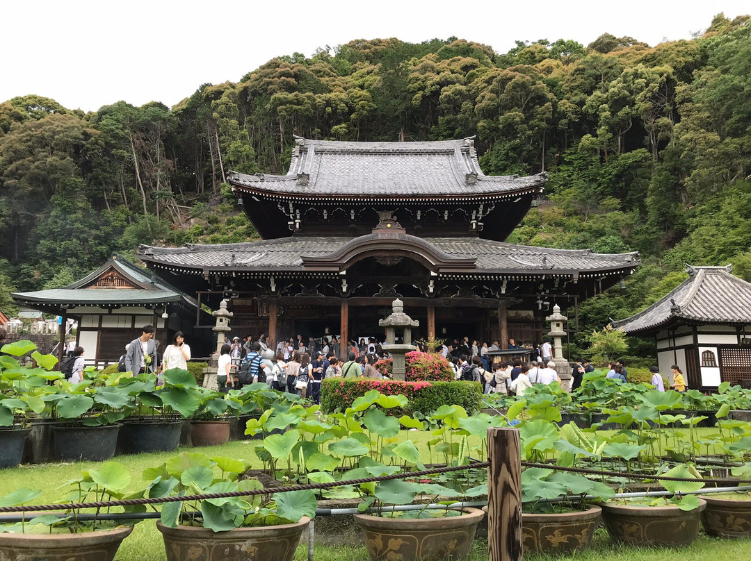 Mimuroto-ji Temple-宇治市必去景点