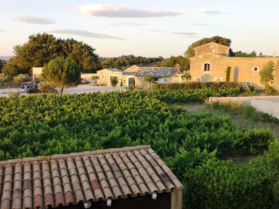 Le Jardin D'ivana主图