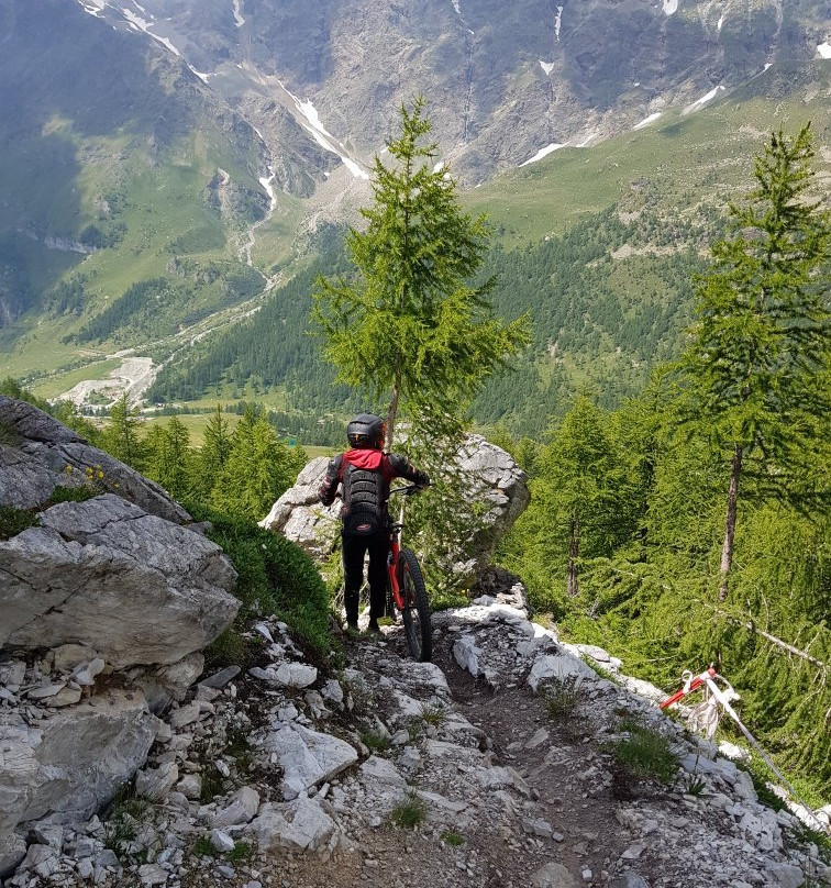 Bike Park del Cervino景点图片