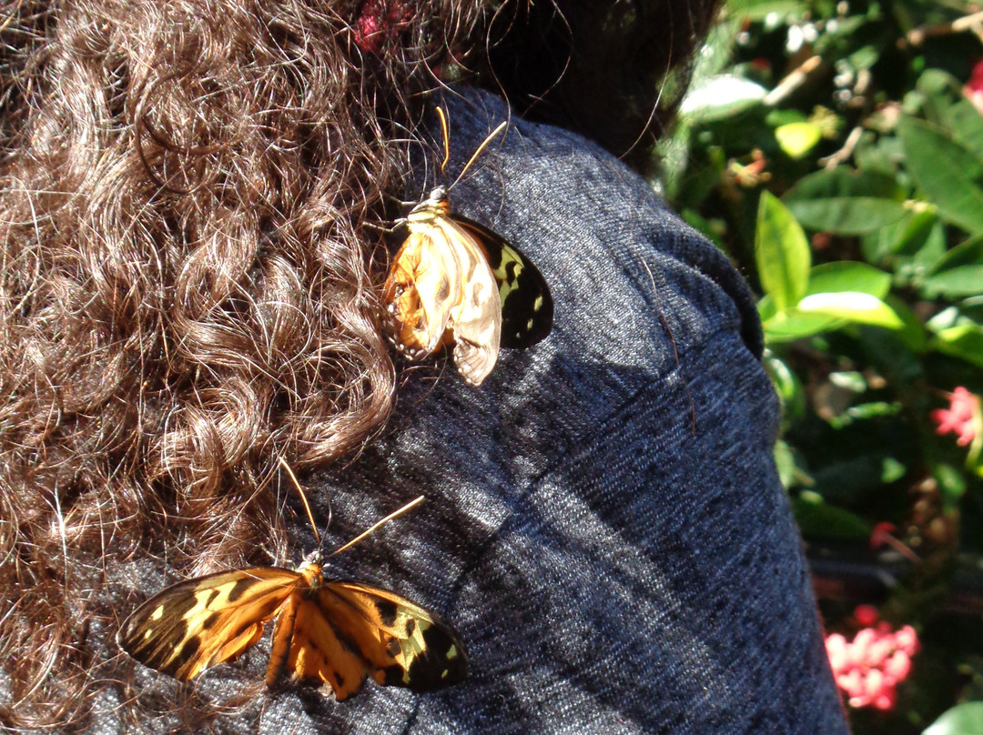 Hotel Sesc Porto Cercado主图