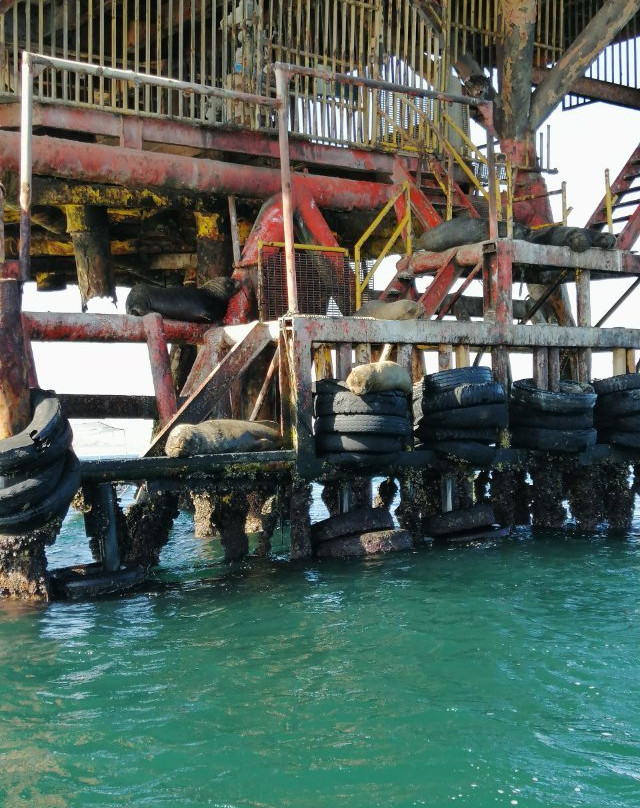 Planeta Marino-Organos必去景点