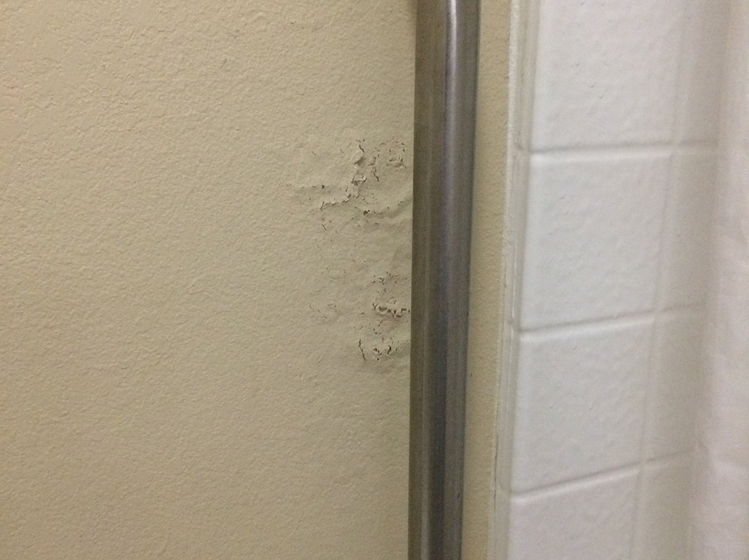 Comfort Inn Santa Fe主图