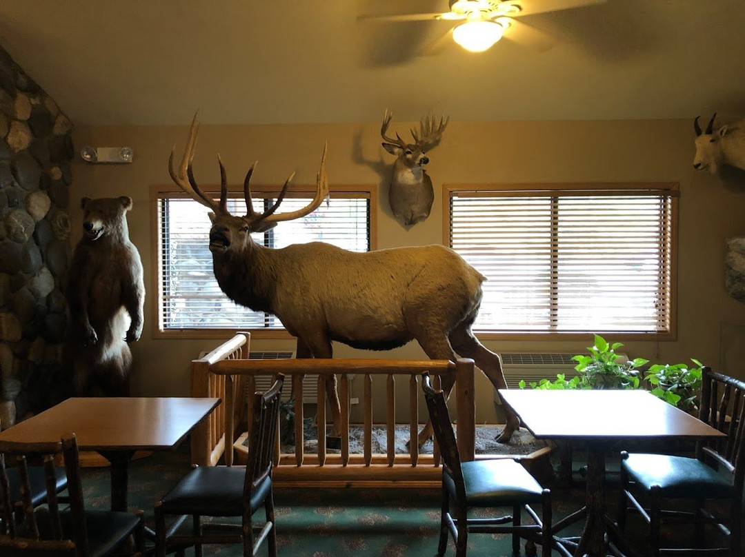 AmericInn by Wyndham Cody主图