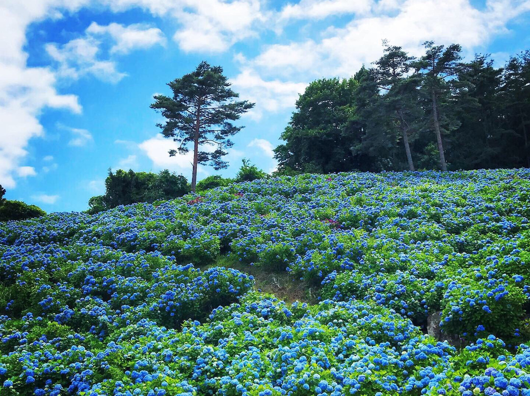 Akasaka Public Park-气仙沼市必去景点