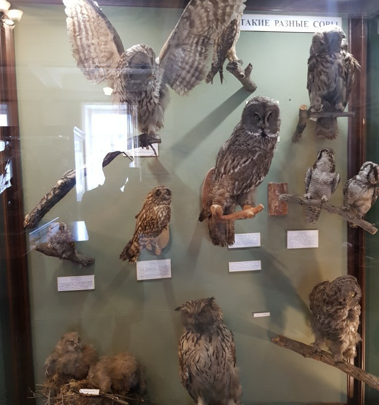 Chita Regional Kuznetsov Museum of Local Lore-赤塔必去景点